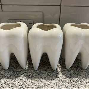 Dental succulent pots!